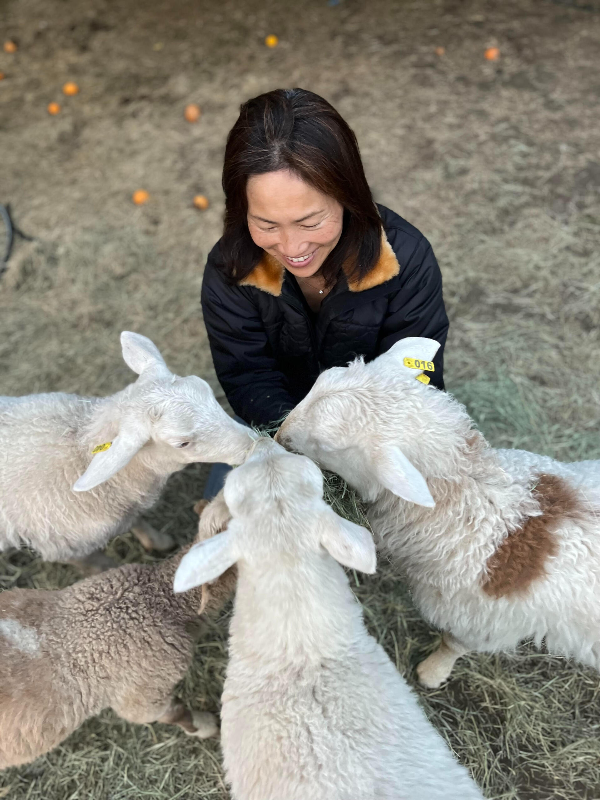 Orange Blossom Orange Blossom Motif